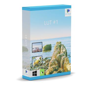 LUT #1