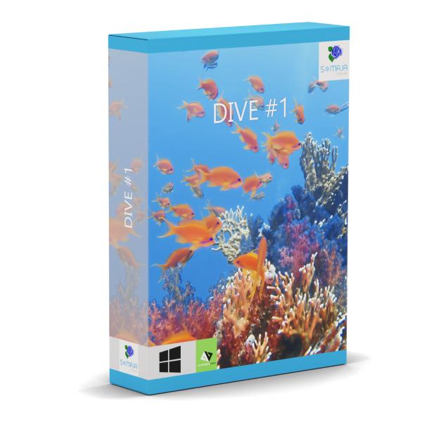 DIVE #1 DIVE #1