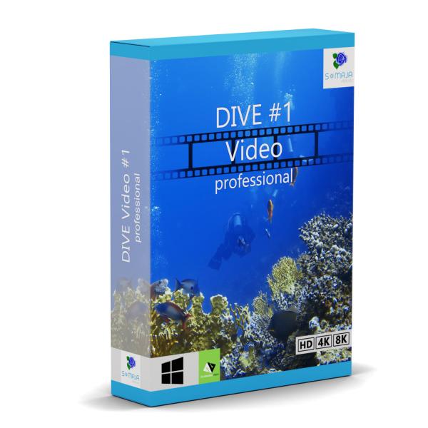 DIVE Video #1 professional