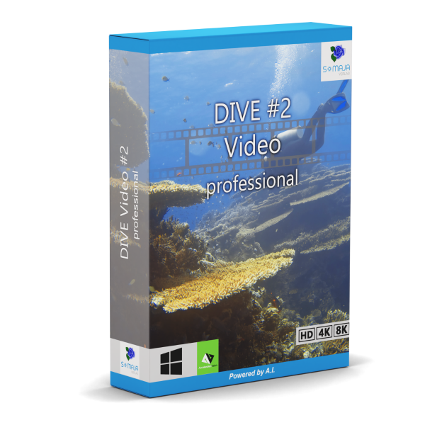 DIVE Video #2 professional