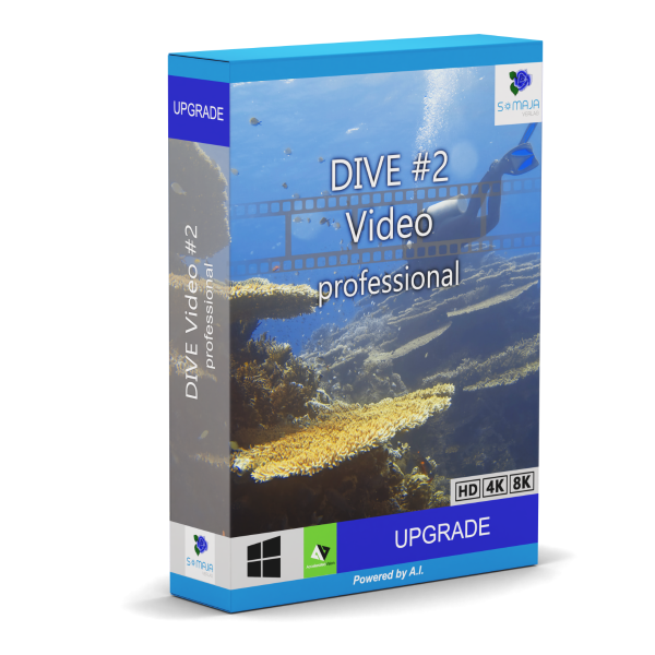 DIVE Video #2 professional Upgrade