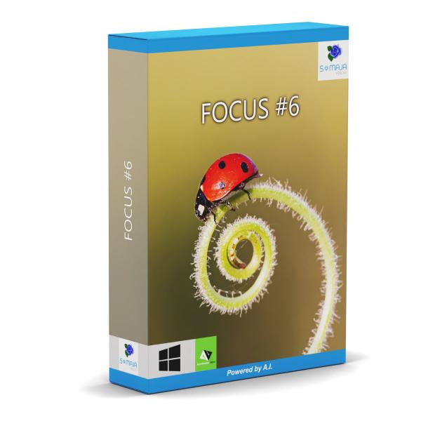 FOCUS #6 FOCUS #6