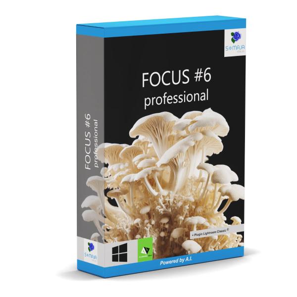 FOCUS #6 professional