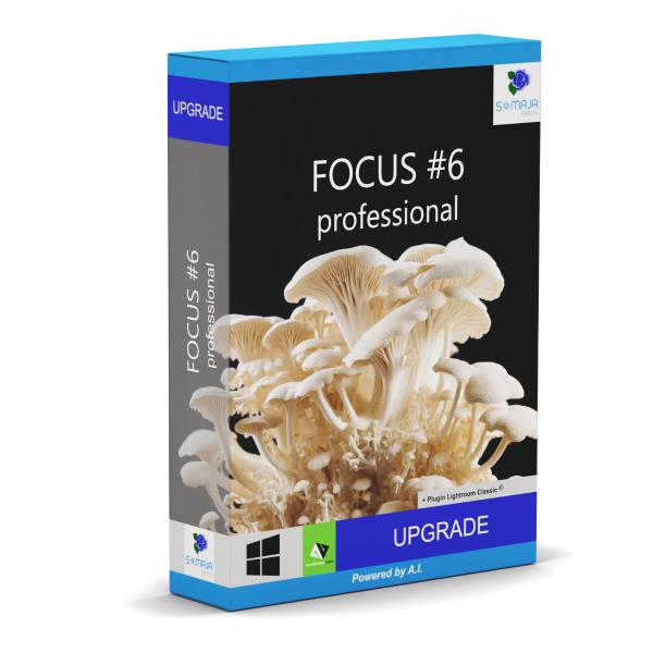 FOCUS #6 professional - Upgrade
