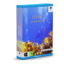 DIVE #2 professional