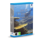 DIVE Video #2 professional