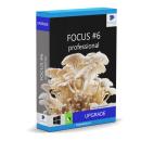 FOCUS #6 professional - Upgrade