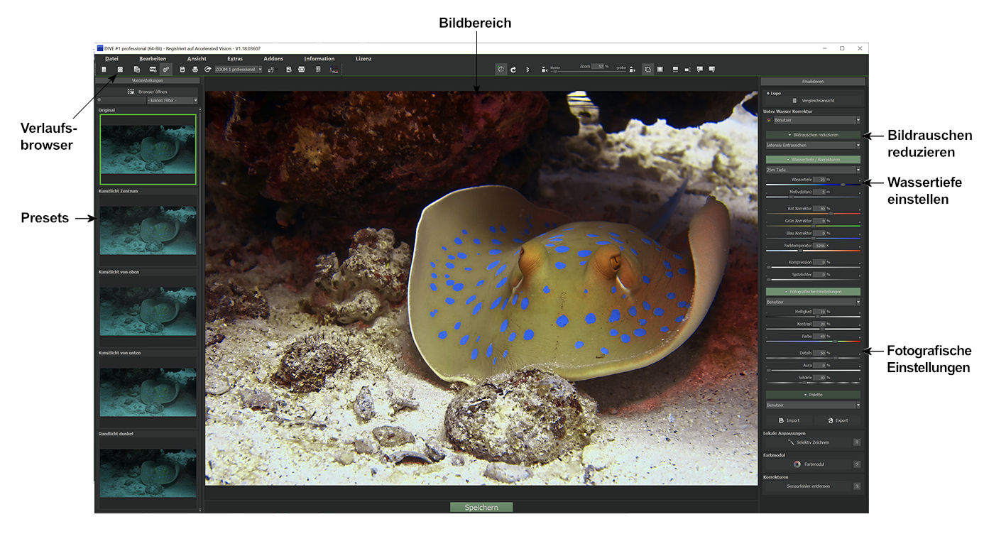 Bild Benutzerinterface DIVE #1 professsional