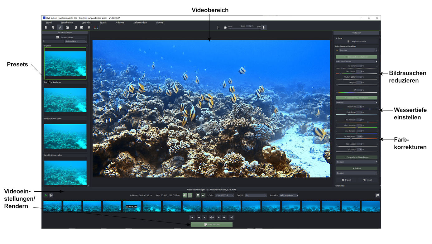 Benutzerinterface DIVE Video #1 professional