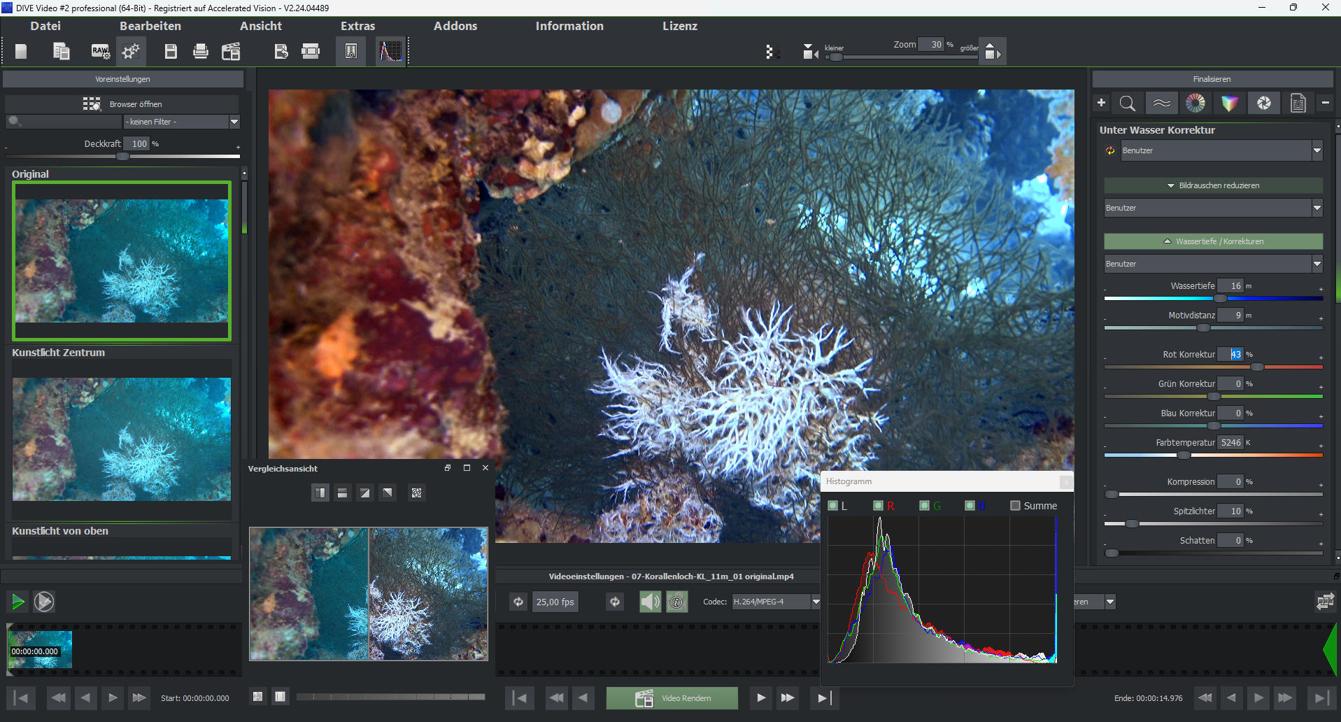 Benutzerinterface DIVE Video #1 professional
