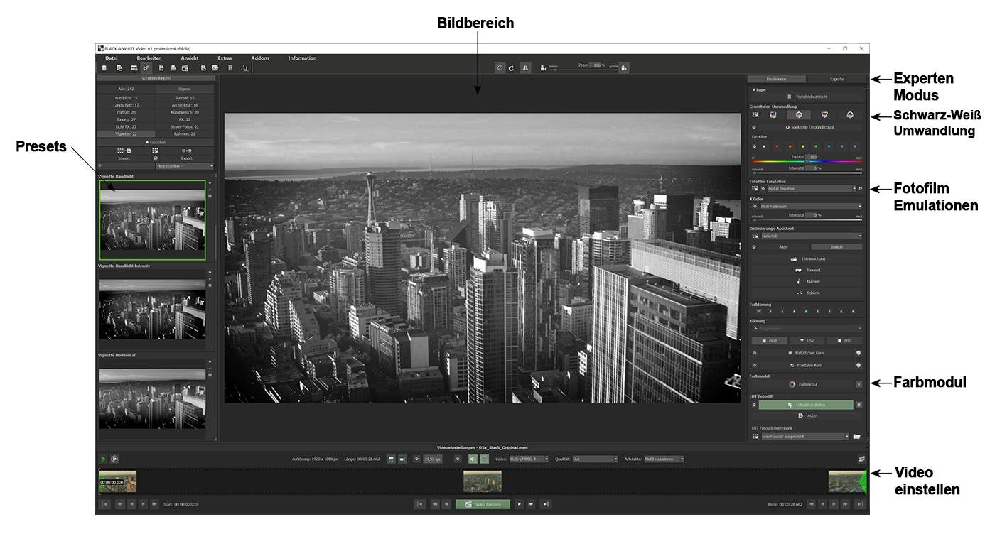 Bild des Interface BLACK & WHITE Video #1 professional