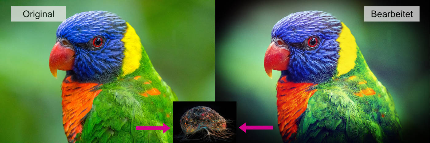 Trainingsbilder zum Trainieren der KI