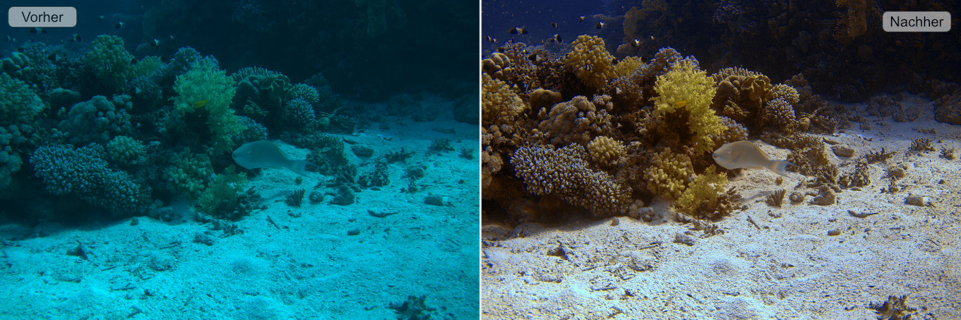 Vergleichsbild vorher nachher Unterwasserfoto Korallen mit Fisch