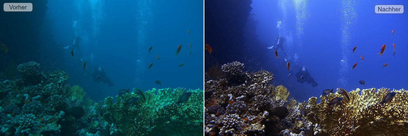 Vergleichsbild vorher nachher Unterwasserfoto Korallen mit Taucher und Fischen