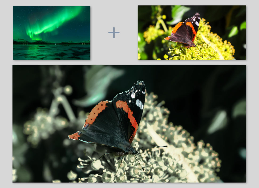 Vergleichsbild Stil auf Bild übertragen LUT #2 professional vorher nachher Schmetterling