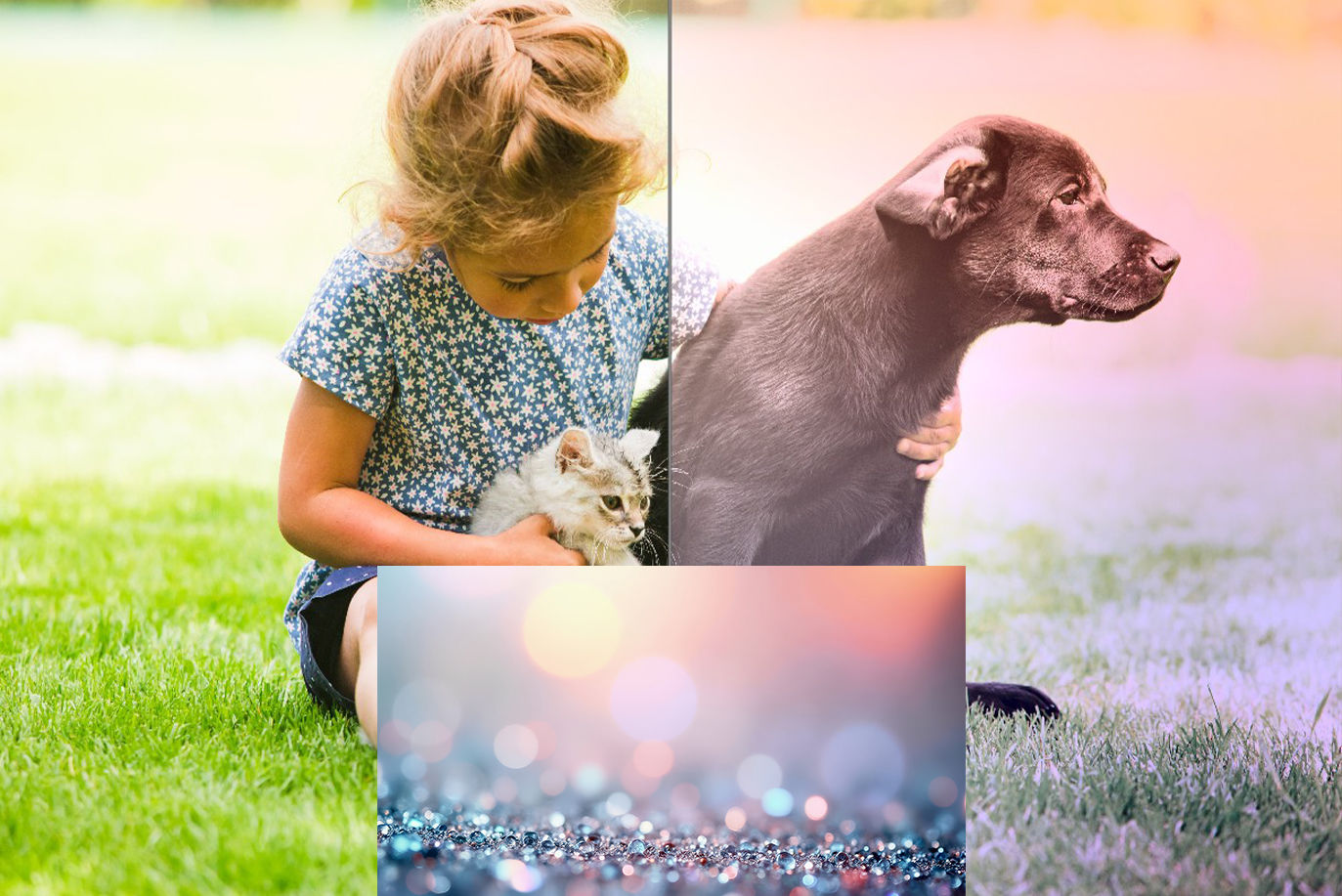 Vergleichsbild Stil auf Bild übertragen PHOTO Style #1 professional vorher nachher Kind mit Hund